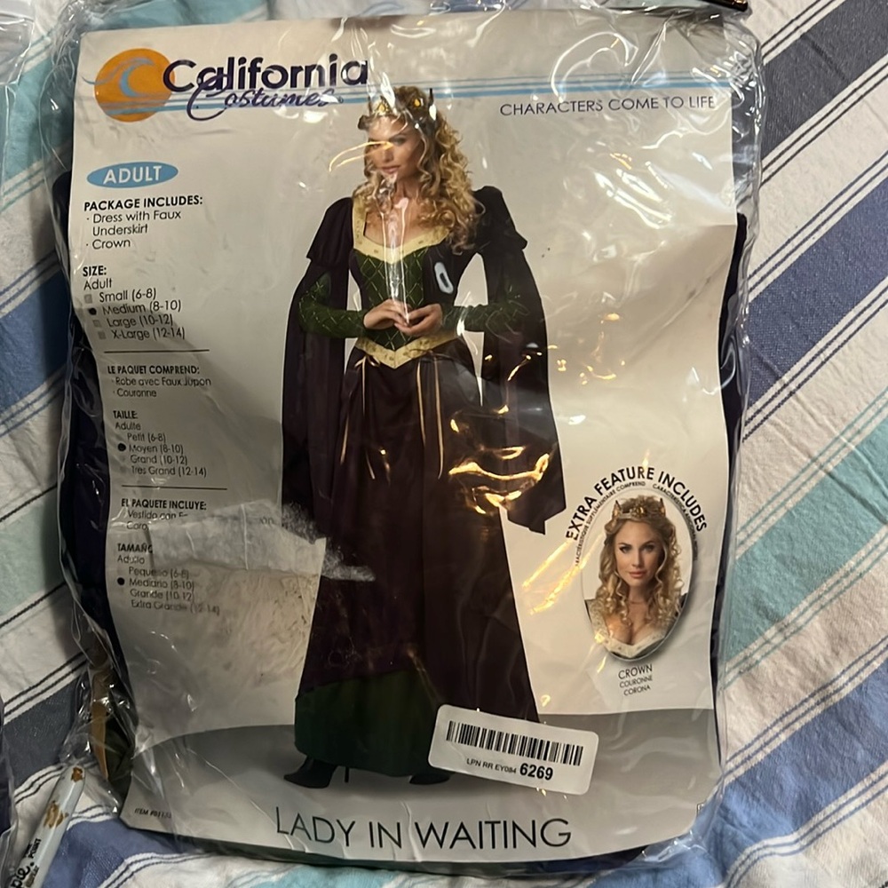 Costume, Lady in Waiting / Medieval / Princess/ Renaissance Dress. Adult medium.